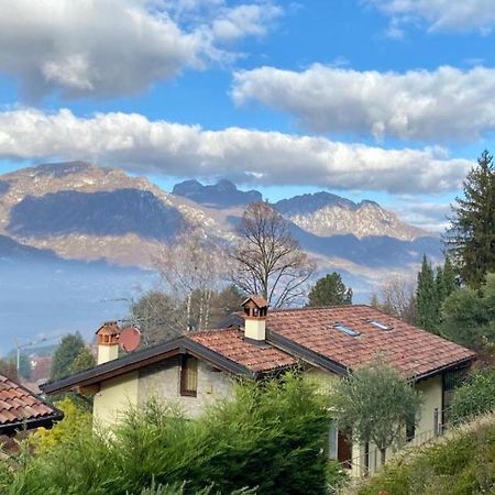 Villa Fiesta Oggiono エクステリア 写真